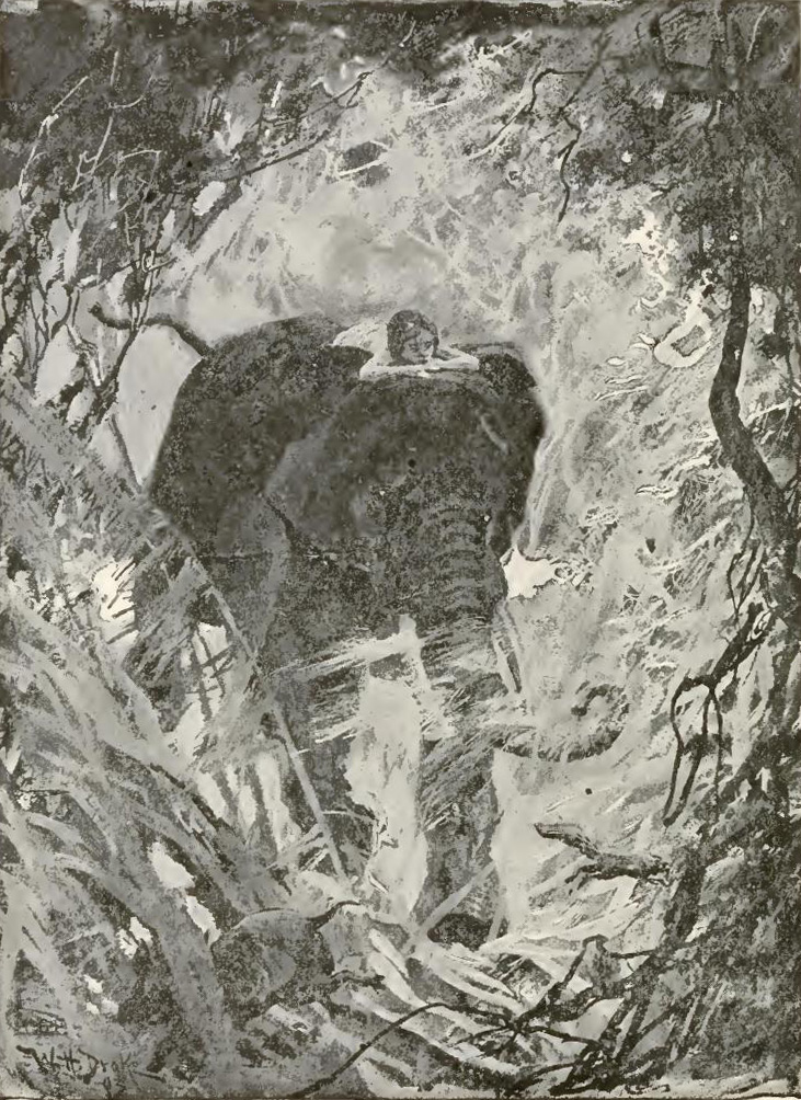 The Jungle Book